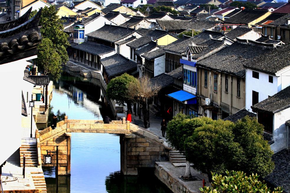 拯救小松鼠
